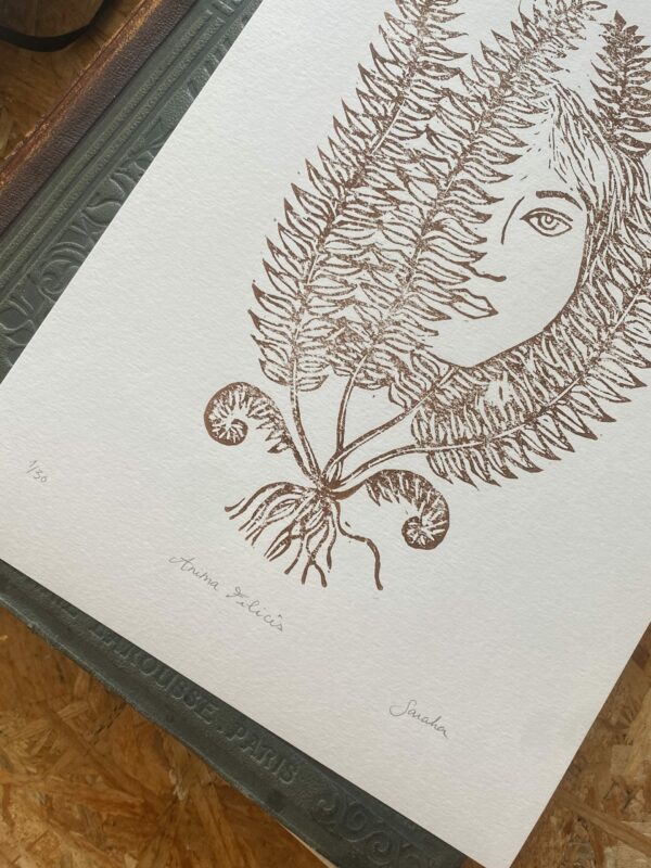 Anima Felicis – Image 2