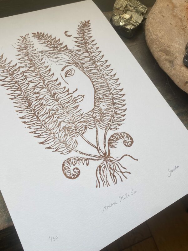 Anima Felicis – Image 3