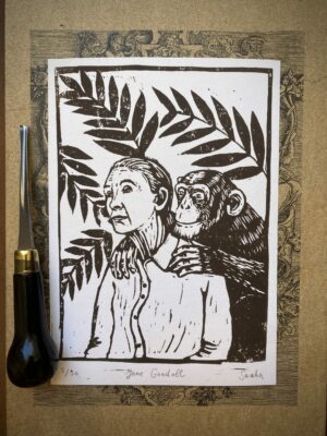 Linogravure Jane Goodall