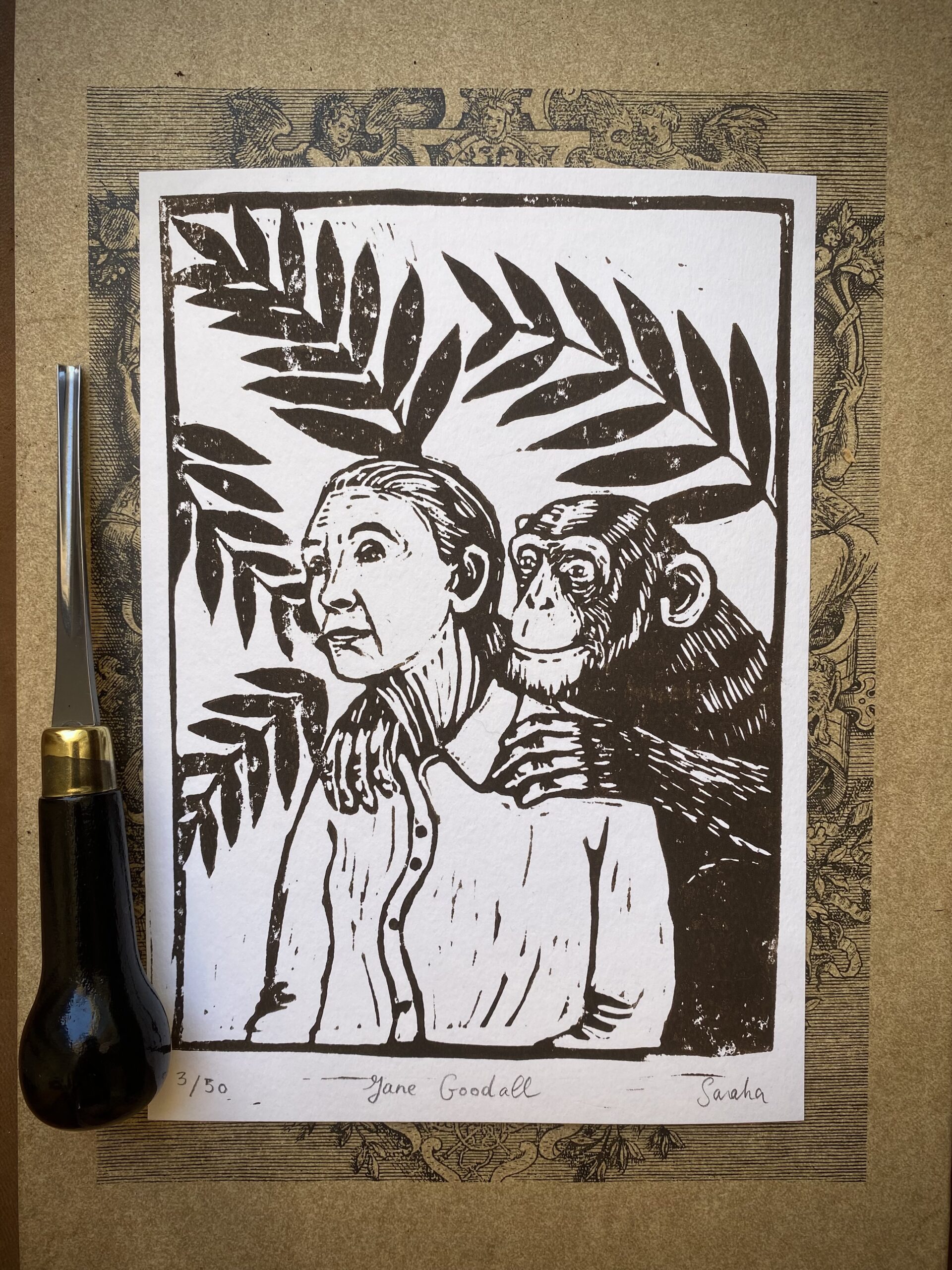 Linogravure Jane Goodall