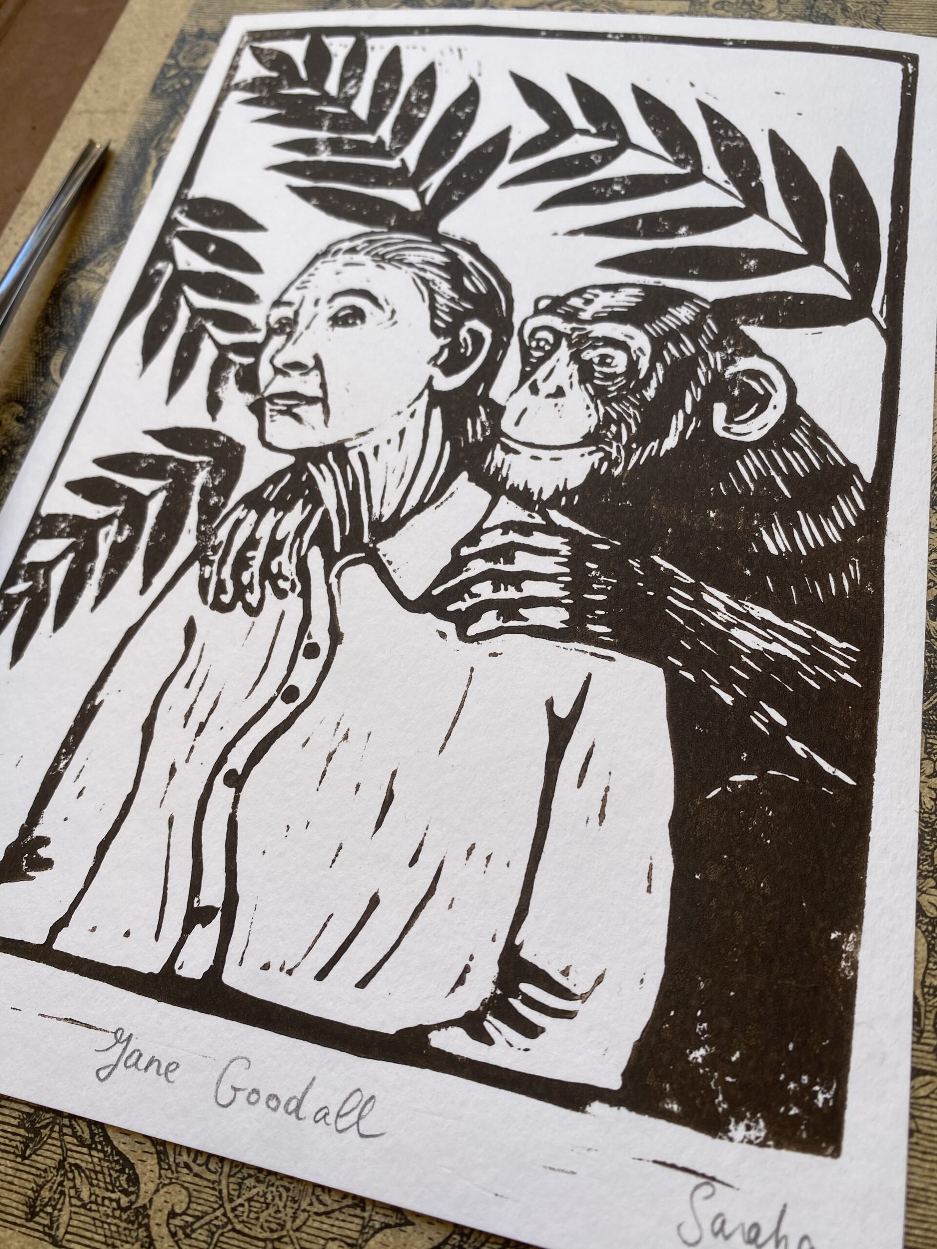 Jane Goodall – Image 2