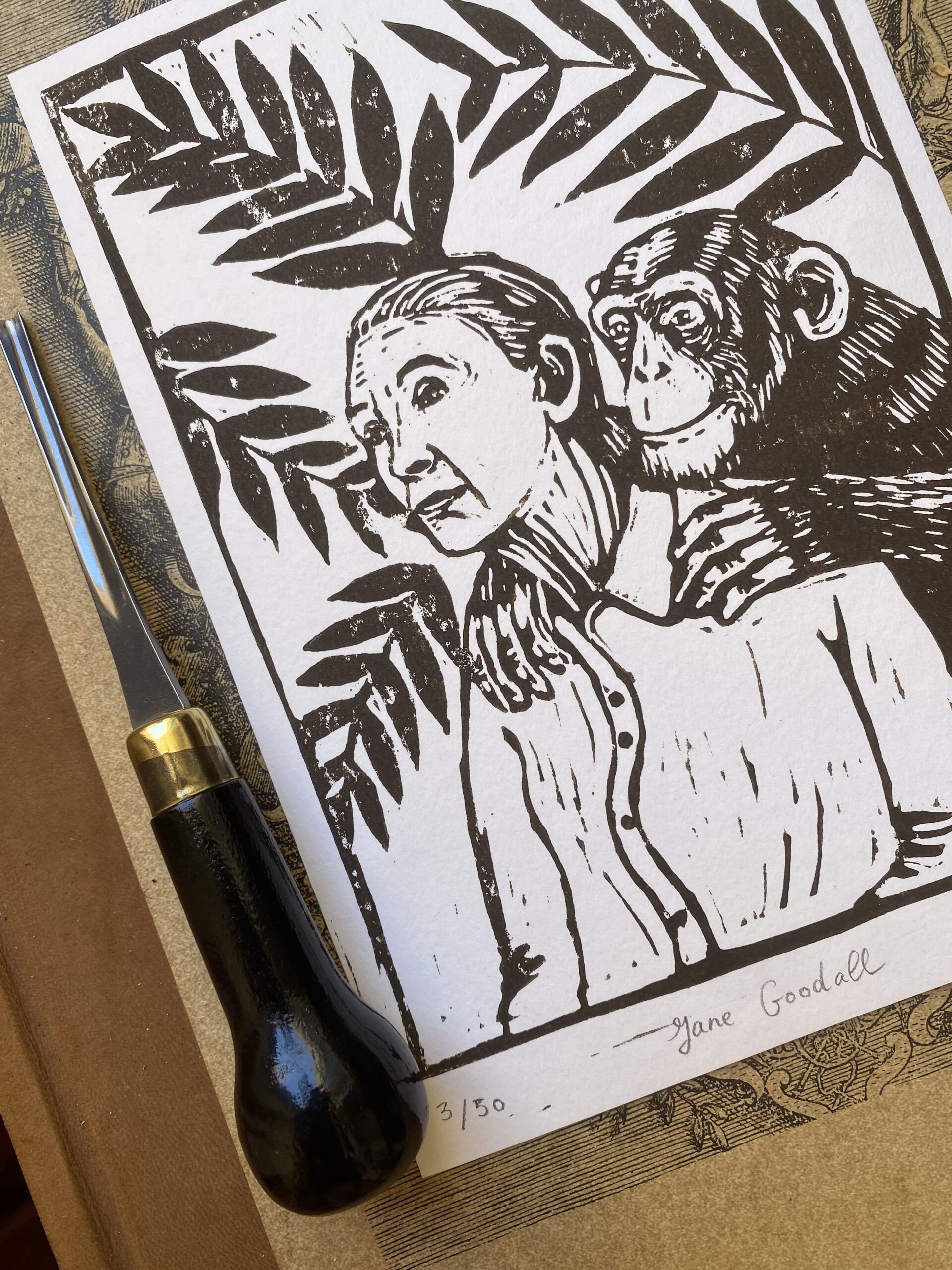 Jane Goodall – Image 3