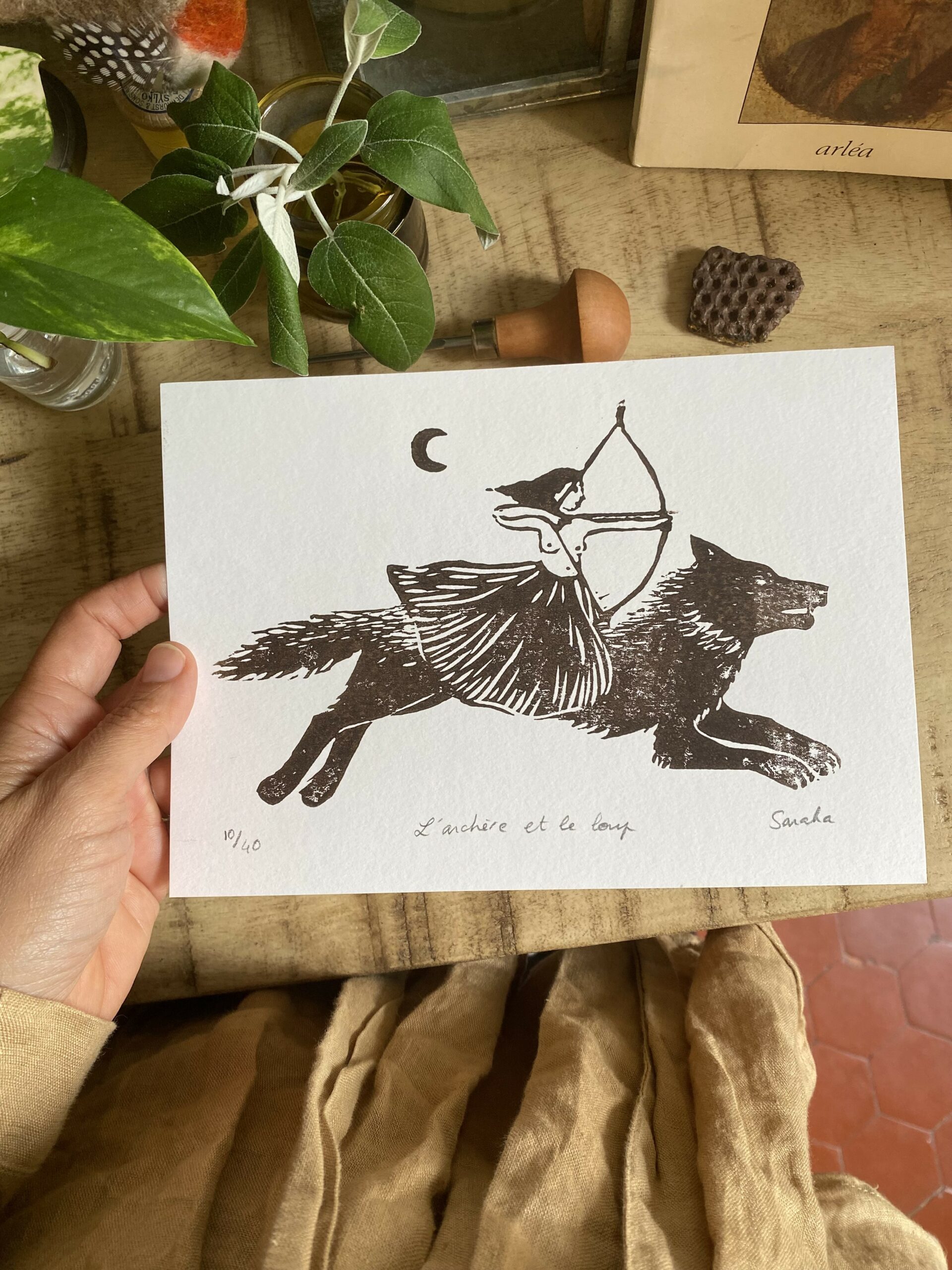 L'archère et le loup