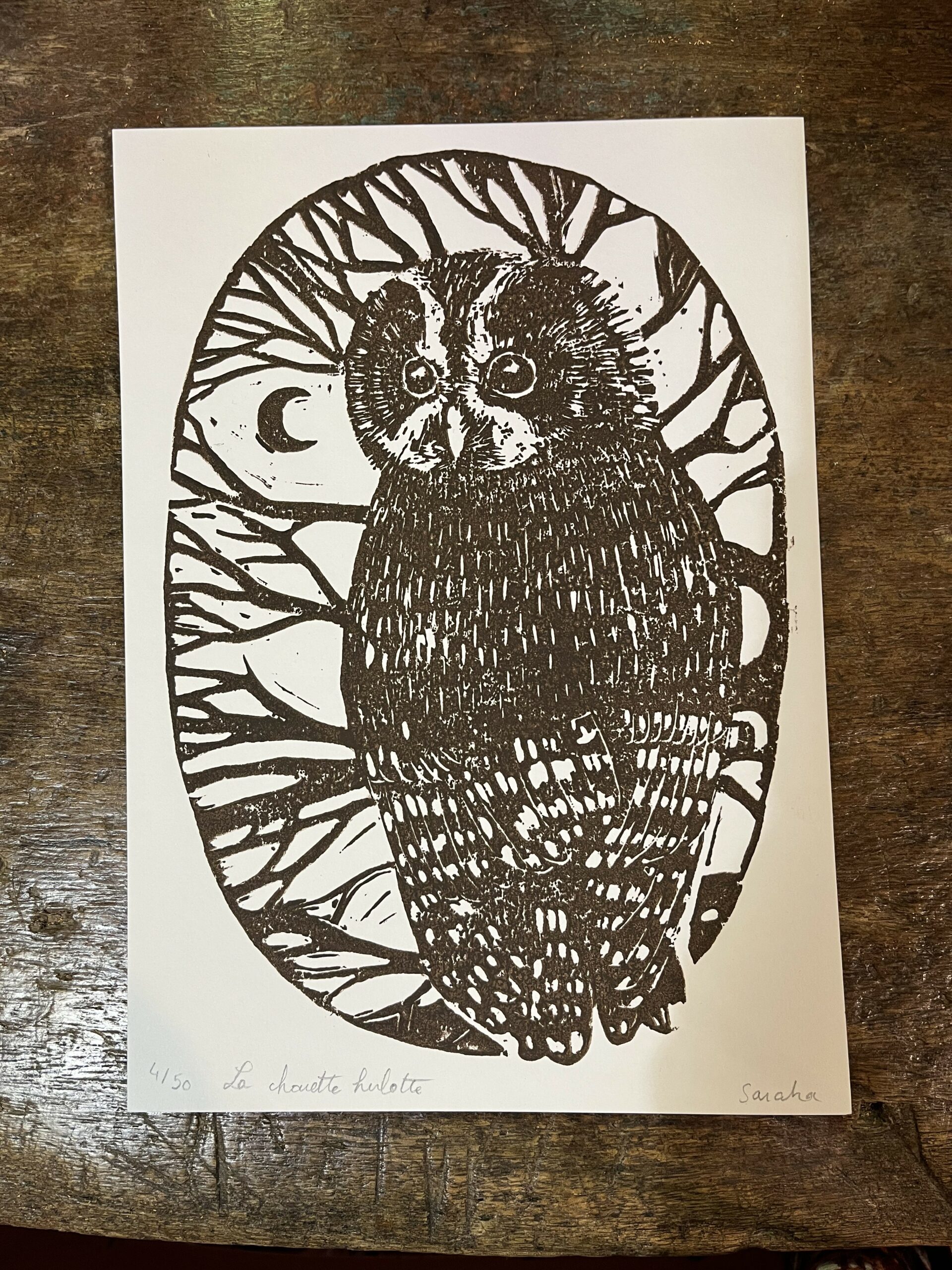 La chouette hulotte – Image 3